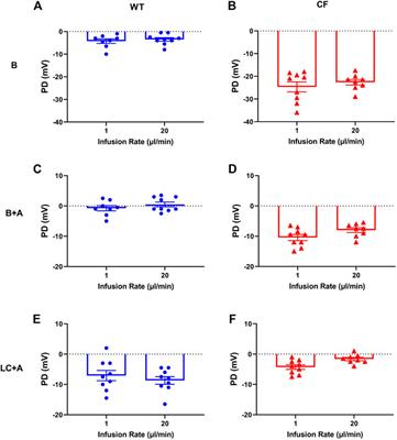 Assessment of Lentiviral Vector Mediated CFTR Correction in Mice Using an Improved Rapid in vivo Nasal Potential Difference Measurement Protocol